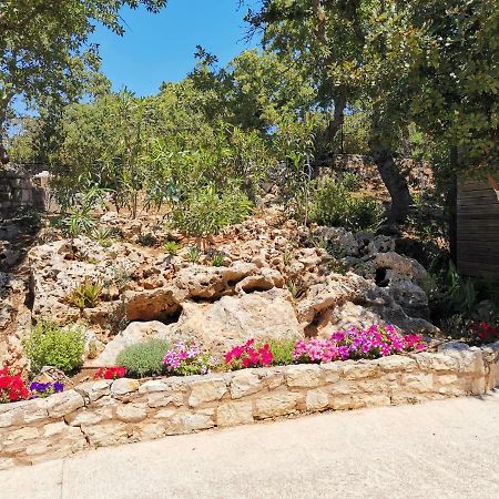 Villa Ermis - The Cretan Castello Kástellos المظهر الخارجي الصورة