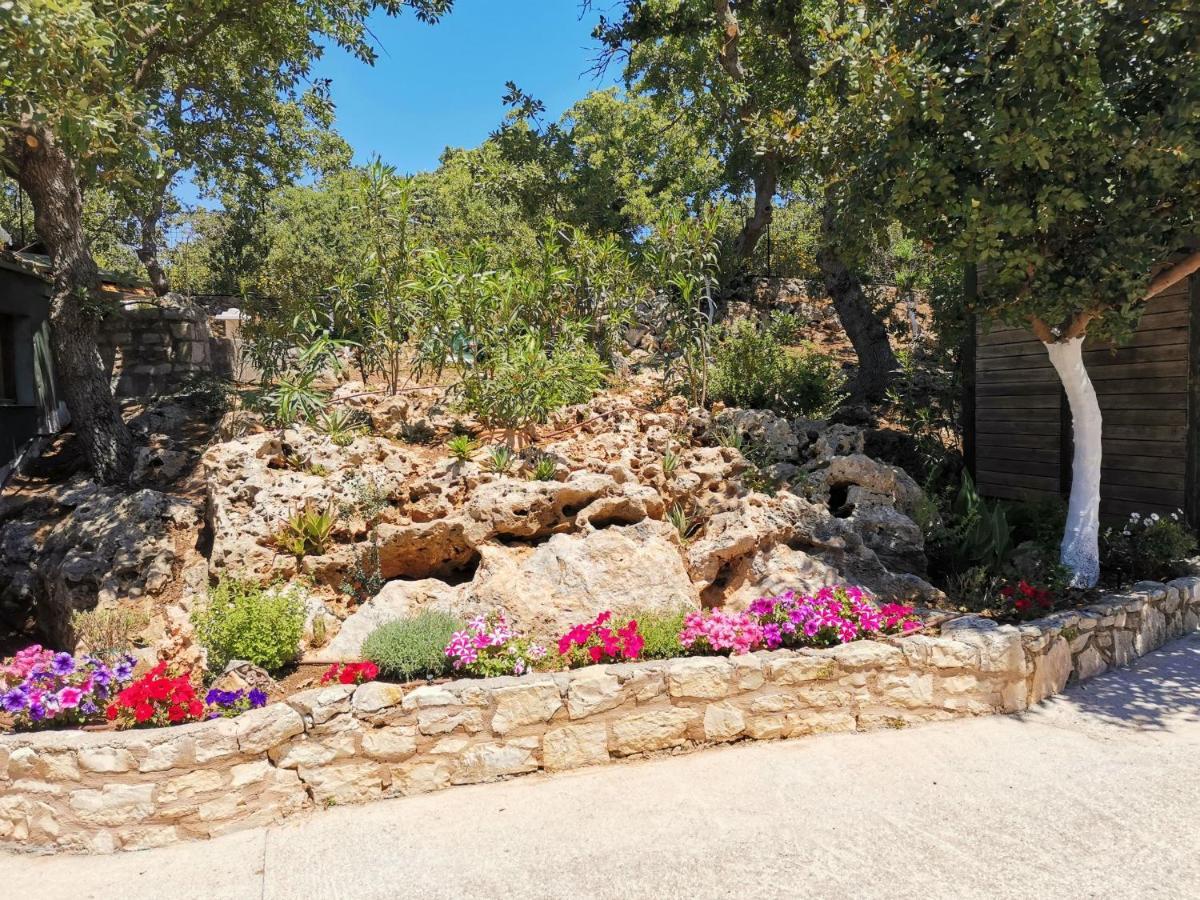 Villa Ermis - The Cretan Castello Kástellos المظهر الخارجي الصورة