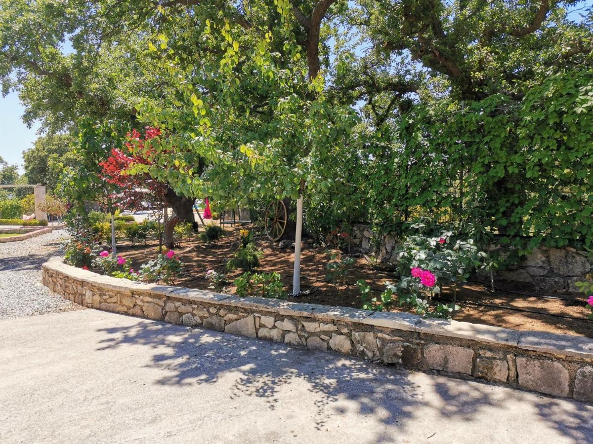 Villa Ermis - The Cretan Castello Kástellos المظهر الخارجي الصورة